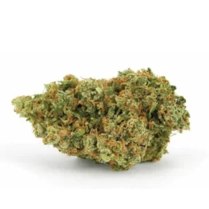 Jack Herer