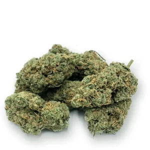 Lime Skunk