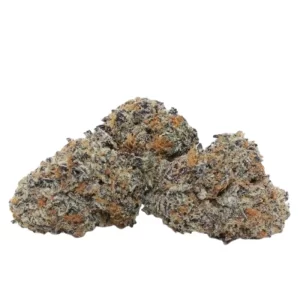 Pure Michigan Strain