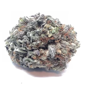 Purple Hindu Kush