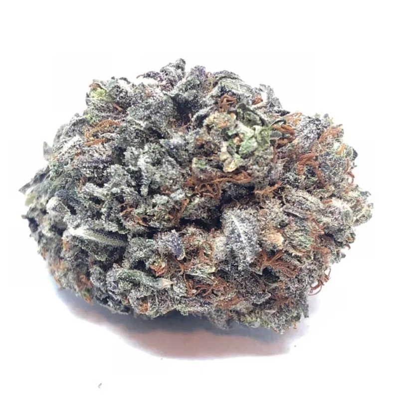 Purple Hindu Kush