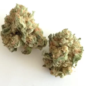 White Widow